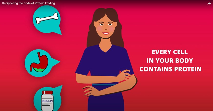 Still from the video depicting an image of a girl with the words 'every cell in your body contains protein'