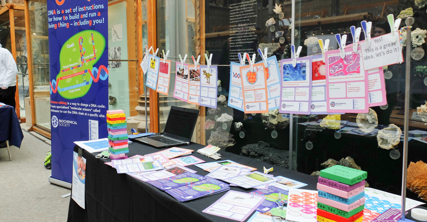 A Biochemical Society stand at a public engagement fair displaying a range of activities.