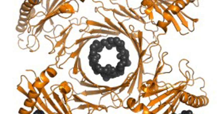 Image of protein struture
