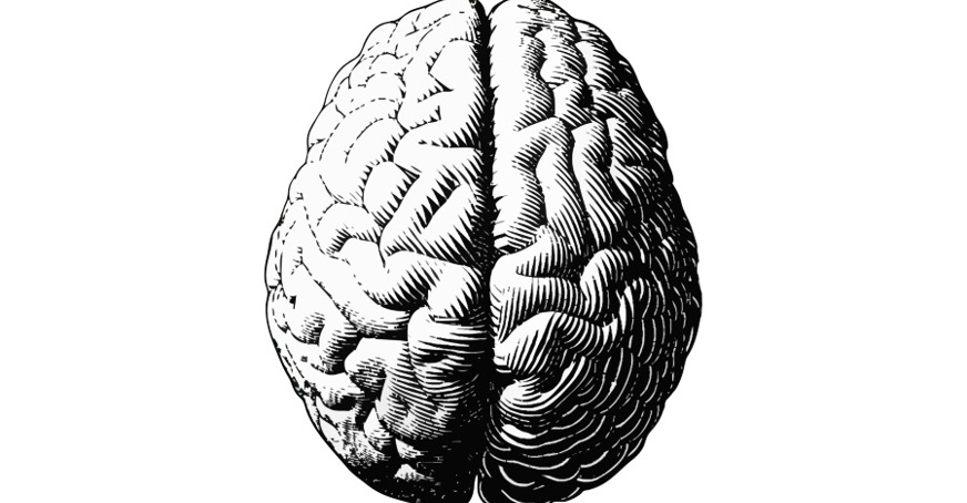 Black and white brain
