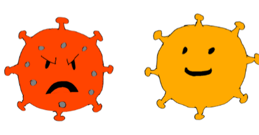Cartoon animation of virus cells