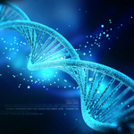 Blue double stranded DNA molecule