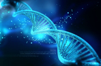 Blue double stranded DNA molecule