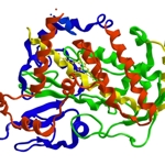 Colourful protein structure