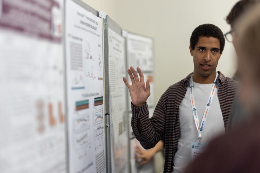 Arrows pointing upwards