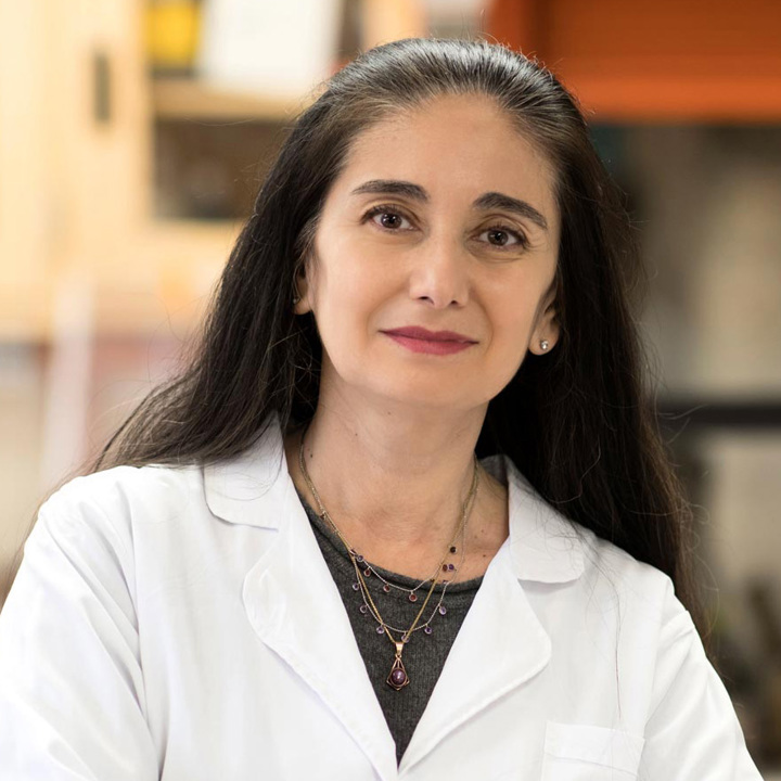 Image of Dr Maria Luisa S. Sequeira Lopez