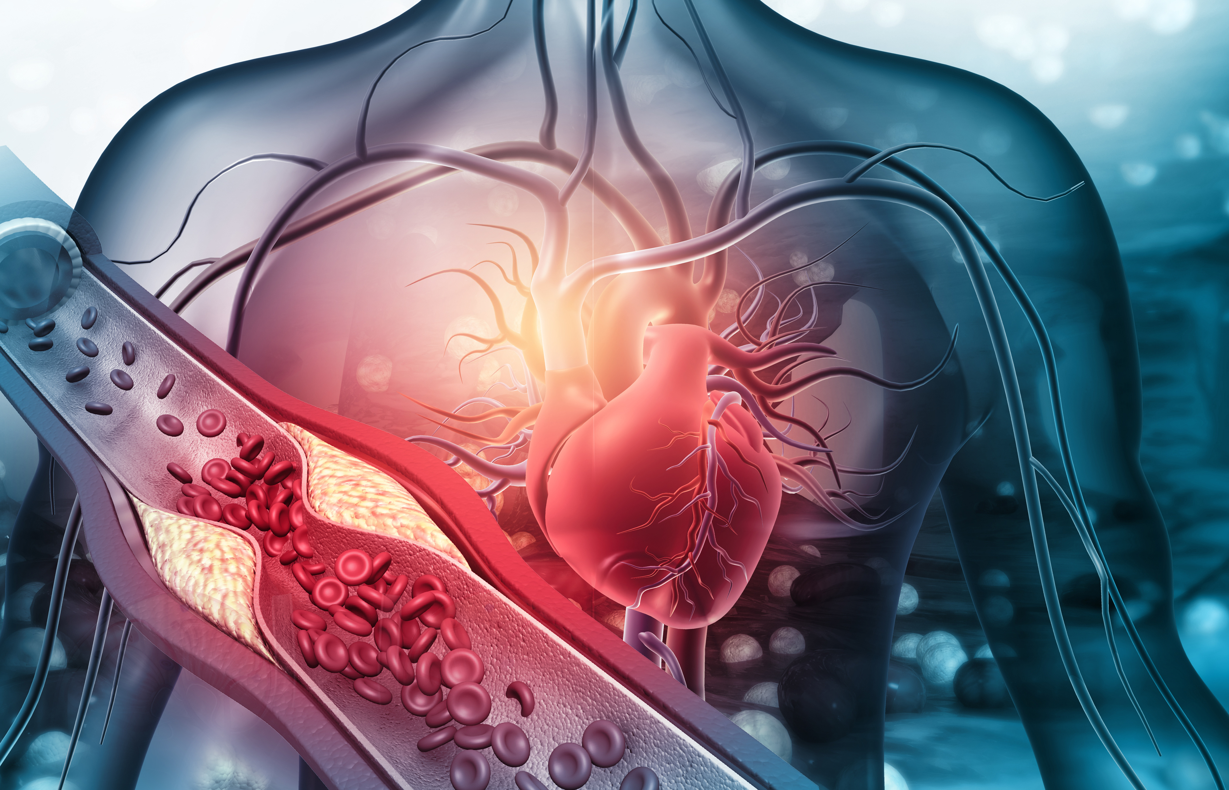 In recognition of World Hypertension Day on 17 May, we're pleased to bring together relevant content from our journal, Clinical Science.