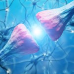 Illustration of synaptic cleft
