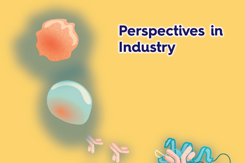 An illustration of ImmTOR(TM) nanoparticle technology