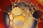 Cells