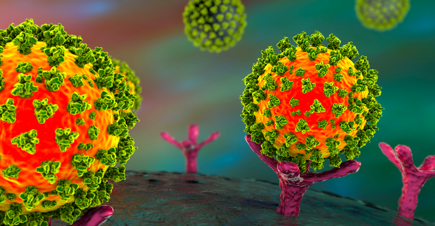 Antigens, viruses and immune cells