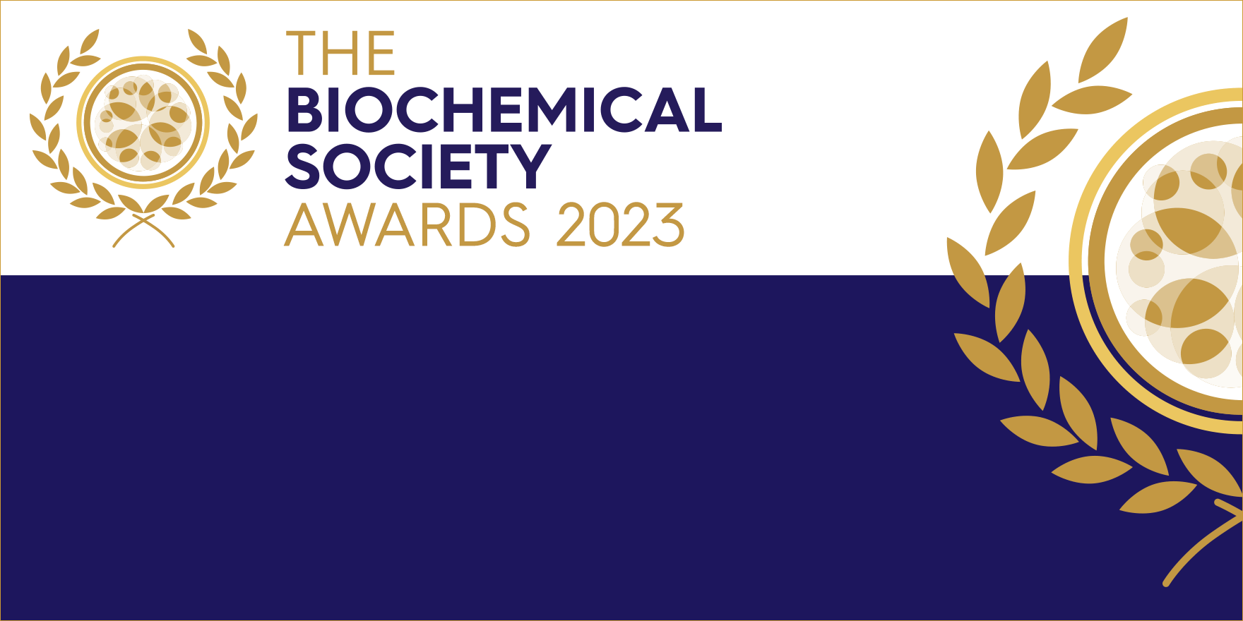 Biochemical Society Awards are presented annually to individuals, teams, and organizations in two categories: ‘Significant Breakthrough or Achievement’ and ‘Sustained Excellence’.