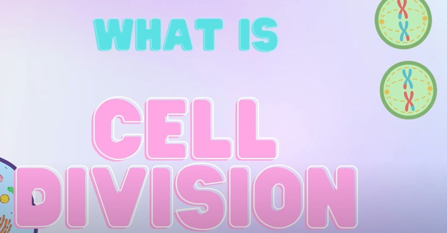 Screenshot of video displaying 'What is Cell Division' in pink and blue text