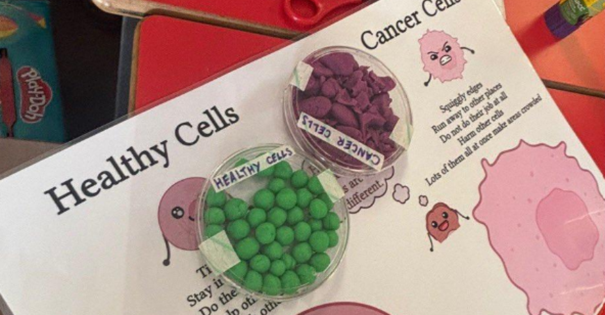Interactive worksheet comparing healthy and cancer cells