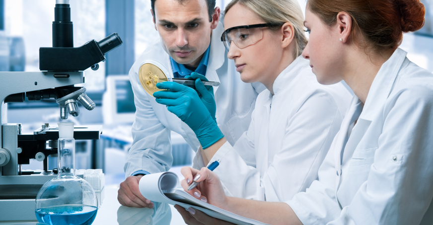 two students in a lab looking at a bacterial plate with a supervisor