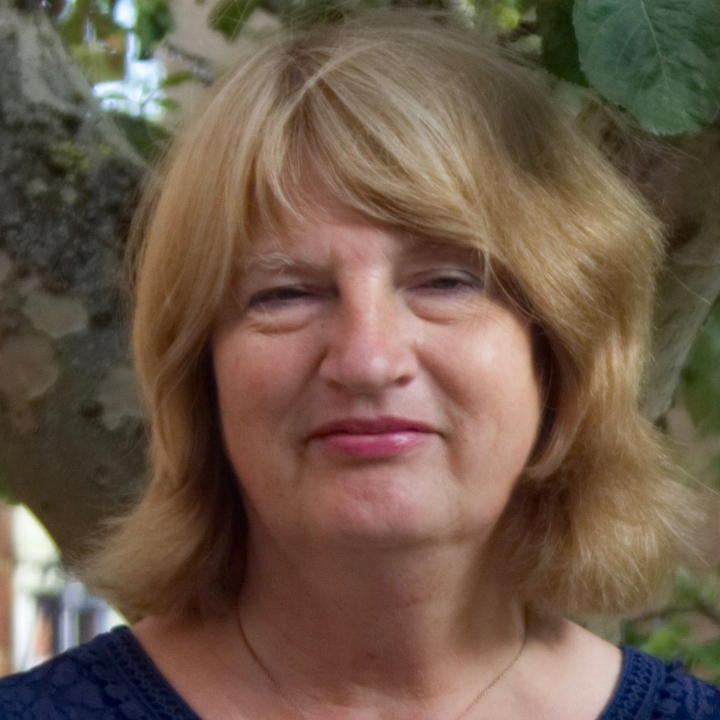 Image of Professor Sarah Newbury