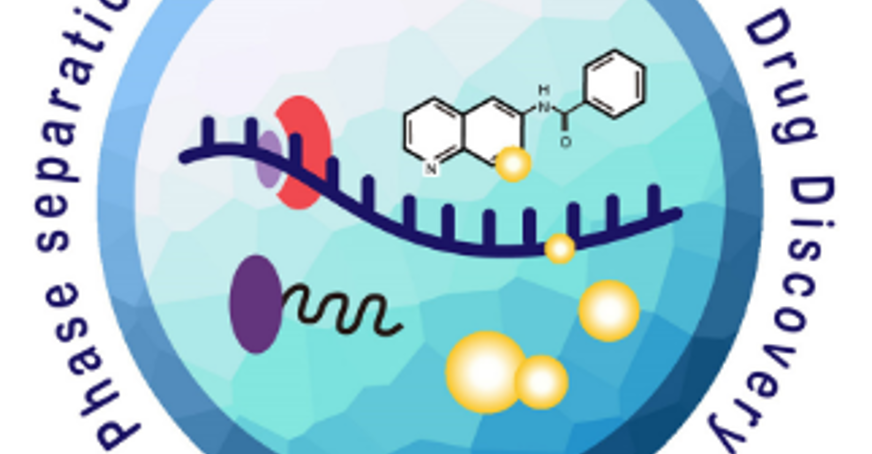 Schematic image of an RNA granule
