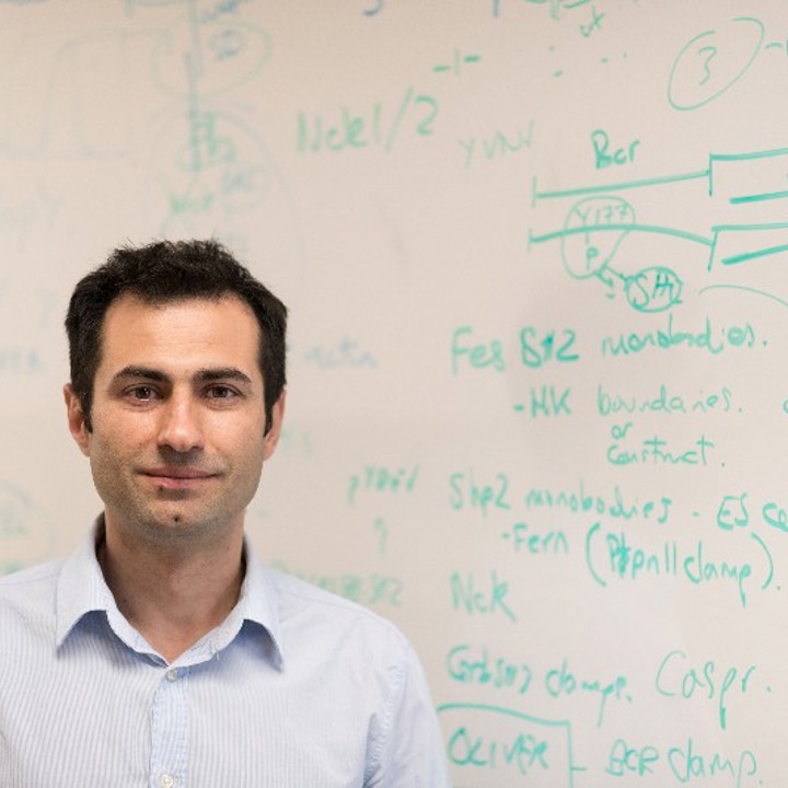 Image of Elton Zeqiraj