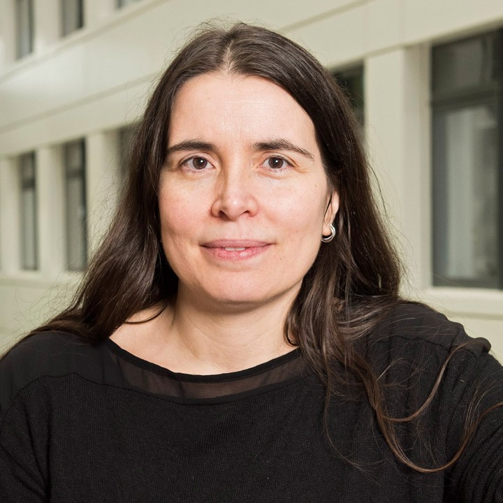 Image of Professor Sonia Rocha