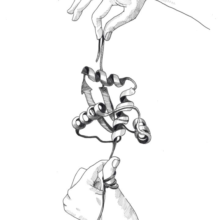 Image of Clare Mcfall