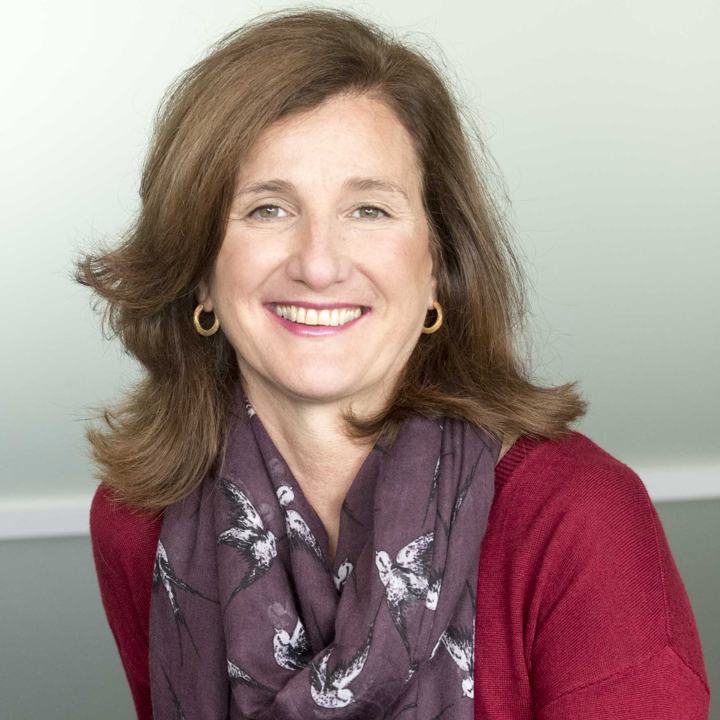 Image of Professor Luciane Vieira de Mello