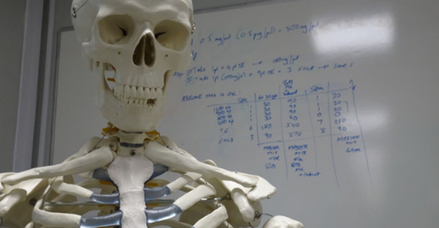 Skeleton in a classroom