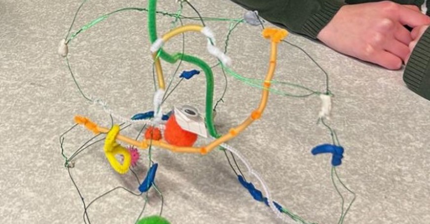 Pipe cleaners used to create a model of the Extracellular Matrix