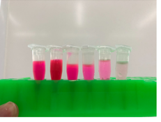 Fluorescence methodology experiment