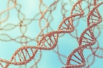 3D rendered illustration of DNA molecules in chromosomes