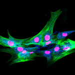 Image of Marion Delaunay