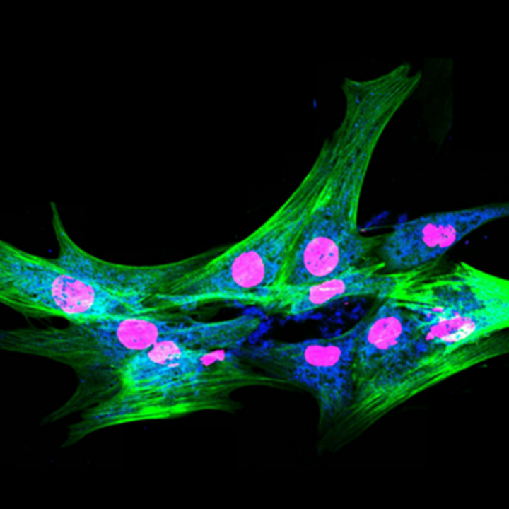 Image of Marion Delaunay