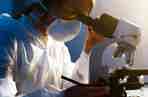 Scientist analysing a patient sample using a microscope