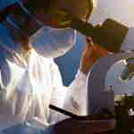 Scientist analysing a patient sample using a microscope