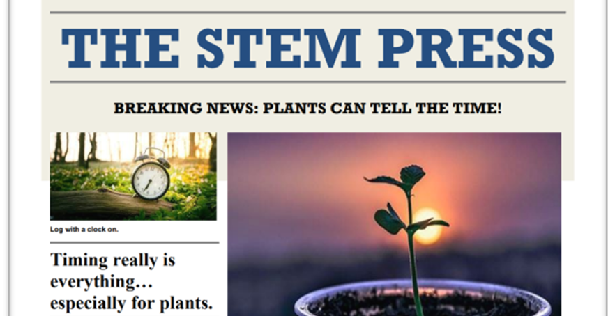 Newspaper article for The Stem Press