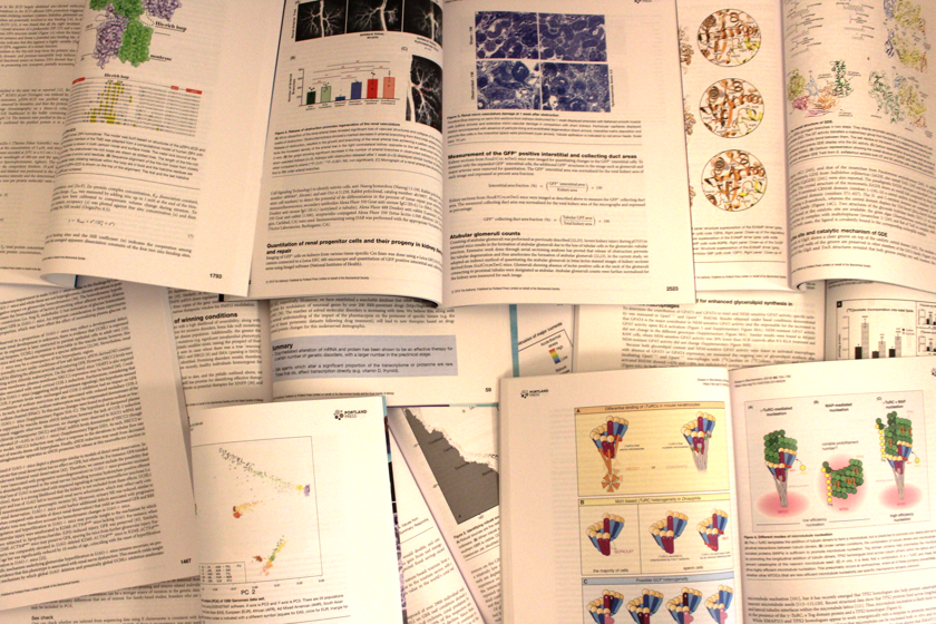 siwrling lines and dots 