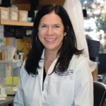 Image of Professor Jennifer C. Sullivan