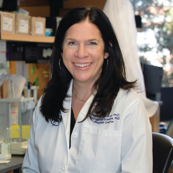 Image of Professor Jennifer C. Sullivan