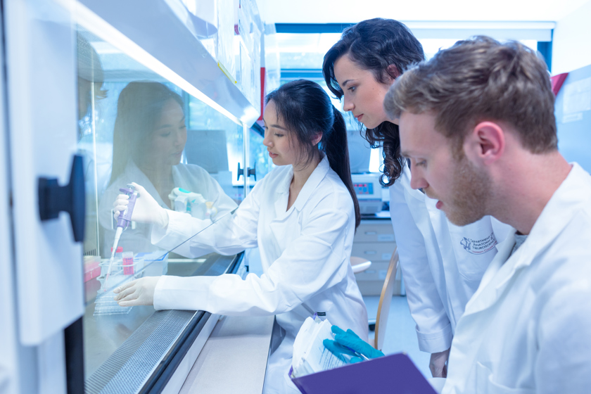 Students working in a lab